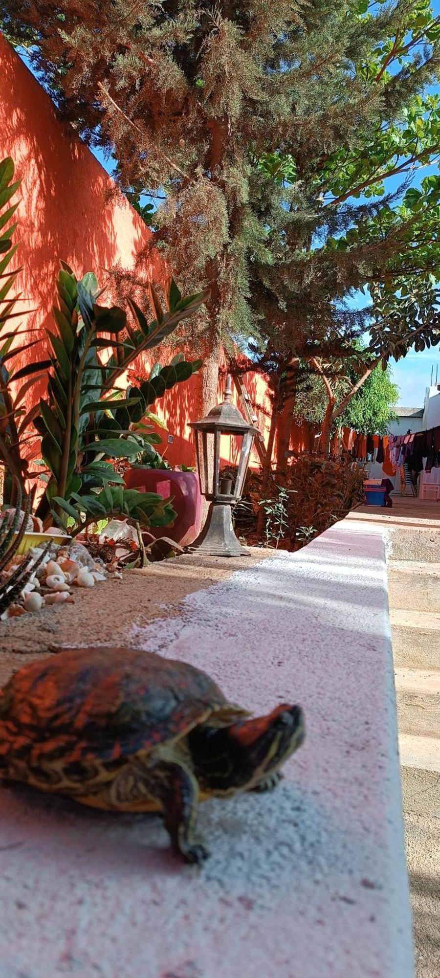 Ferienhaus Residencia Aguia *