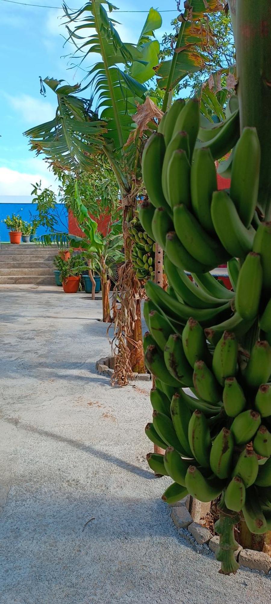 Residencia Aguia Ferienhaus