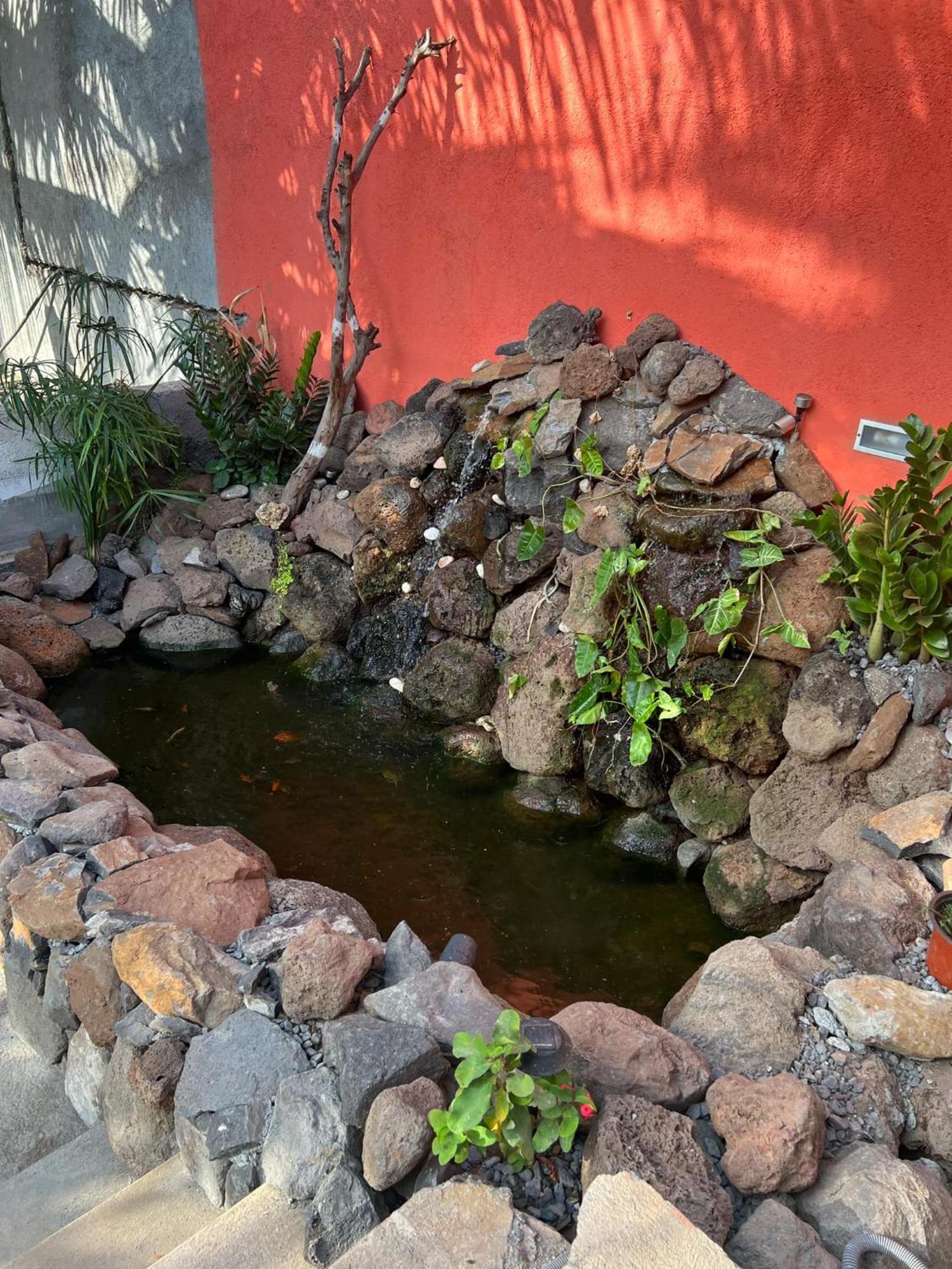 Residencia Aguia